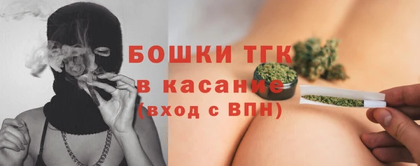 трава Снежногорск