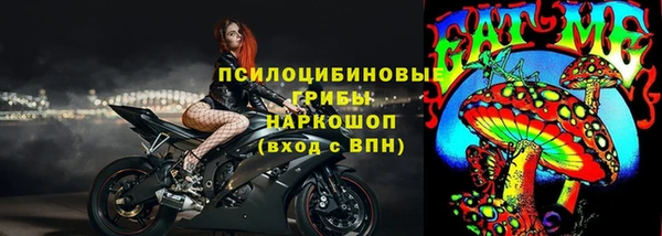 трава Снежногорск